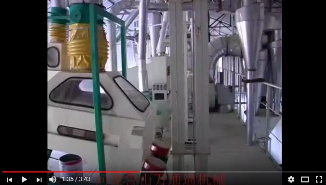 Corn Grits and Flour Milling Line built by Win Tone Machinery in Zhangxifeng Liangyou Co., Ltd.