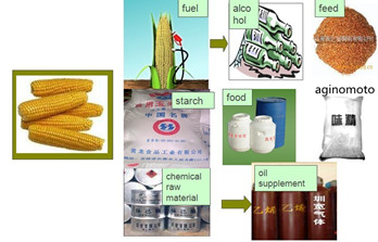 South Africa Primary, Fine and Deep Corn Processing Scientific Research Report