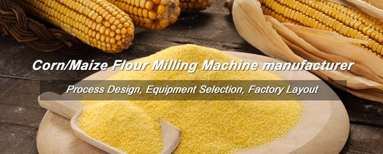 maize milling machines business in Africa