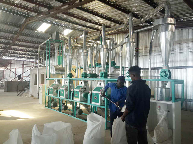 Corn Processing Equipment