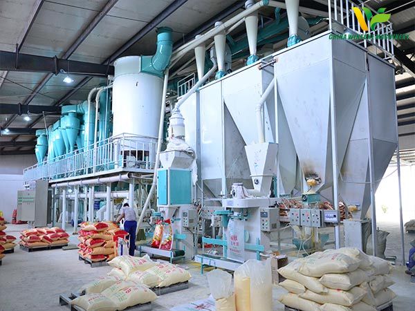 50ton per day maize milling machine