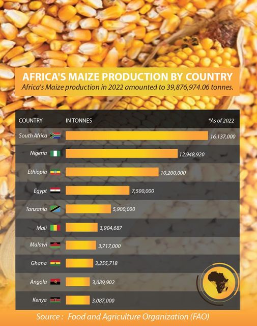 Corn production in Africa