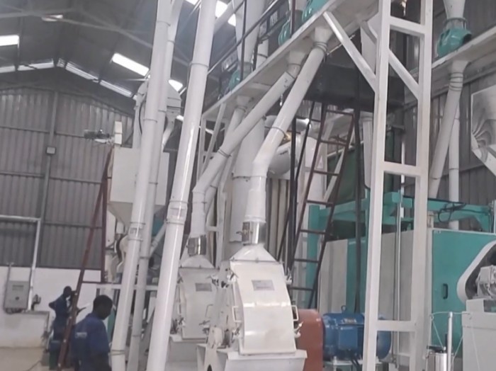 Maize milling plant for animal feed production