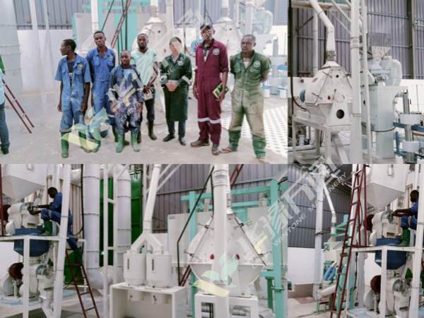 30ton maize milling plant in Uganda