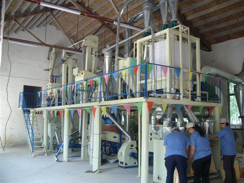 corn high-gluten flour processing machine