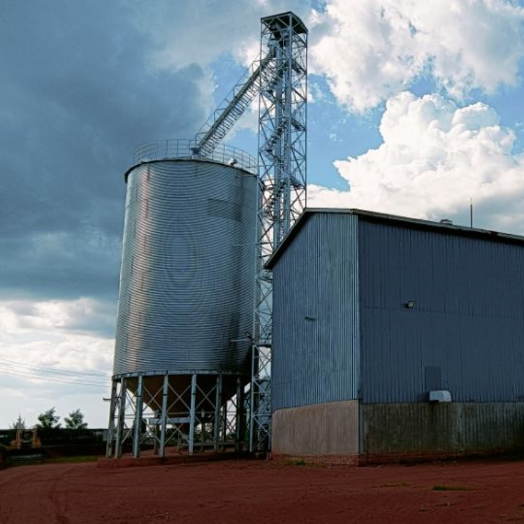 Maize Storage Facilities