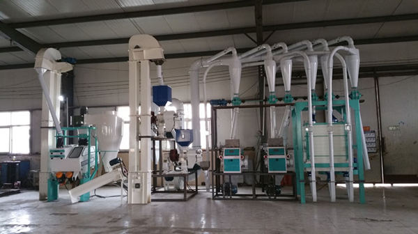 10ton small maize cornmeal processing plant