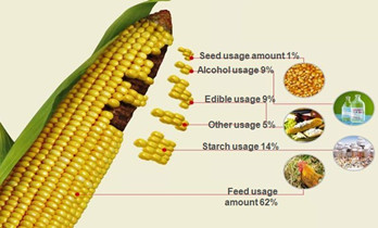 corn processing machinery market