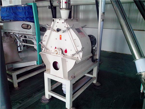 maize hammer mill in maize processing line