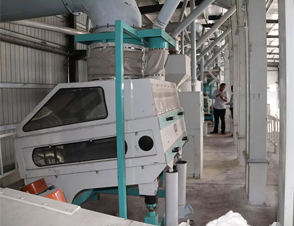 maize cleaning and sorting machine