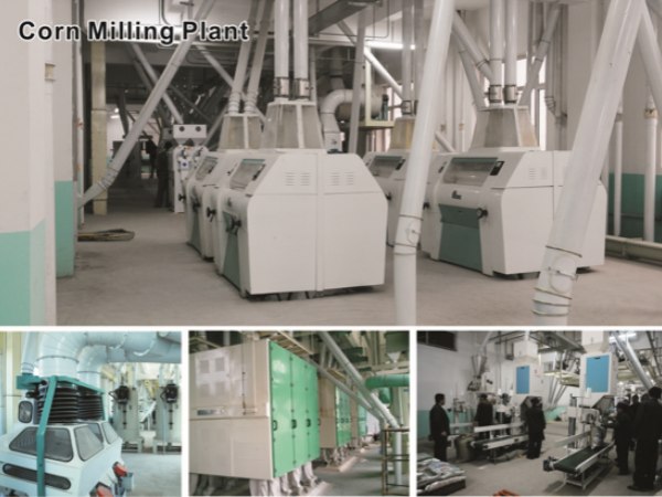 Small commercial maize milling plant