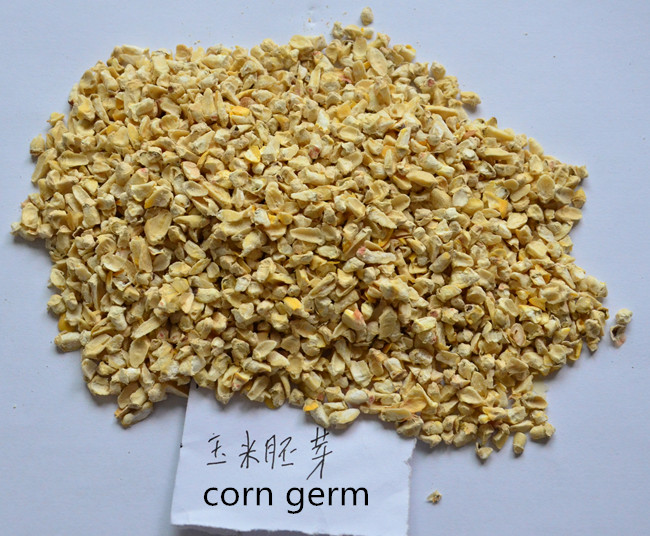 Corn Germ Extraction Line (Dry Method)