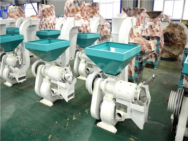 NF-280 Multifunctional Corn Peeling and Polishing Machine