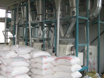 Teff Flour Processing Equipment